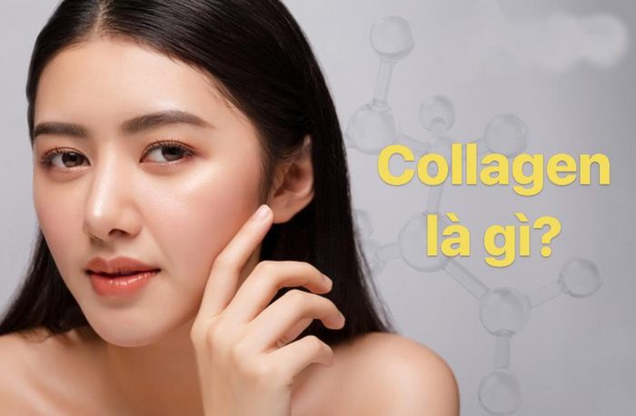Collagen là hoạt chất như thế nào