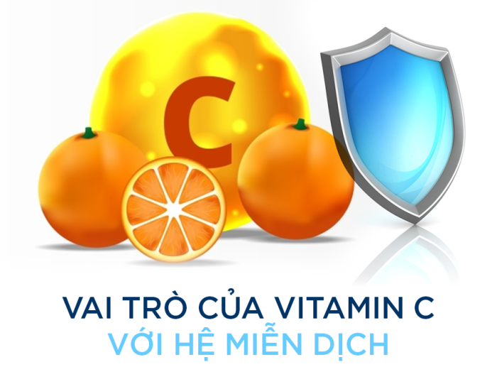 Uống vitamin c mỗi ngày có tốt không? Tầm quan trọng của vitamin c